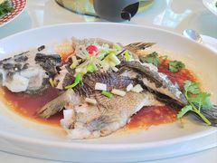 清蒸鱼-唐苑酒家·岭南粤菜名店(太古仓店)