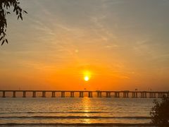 -宝安西湾红树林湿地公园