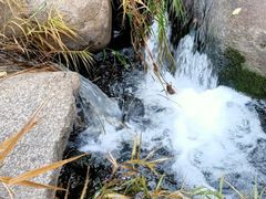 -碓臼峪自然风景区