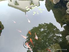 -东山雕花楼
