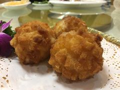 -丁老爷子苏香圆