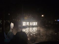 -常州环球恐龙城维景国际大酒店