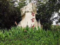 -习家池
