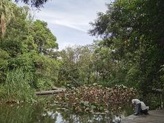-燕晗山郊野公园