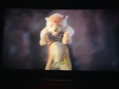 -红星电影世界上海张江绿地店