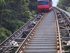 -天目湖涵田度假村