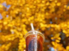 -COFFEE HOLIC(朝外SOHO店)