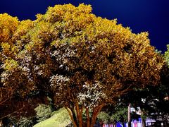 -Club Med地中海俱乐部·桂林度假村