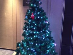 -舟山希尔顿酒店