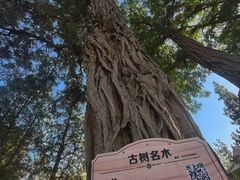 -张掖大佛寺景区