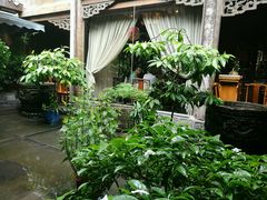 -白鹭原茶艺馆