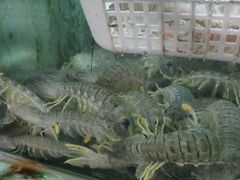 -班赞海鲜市场