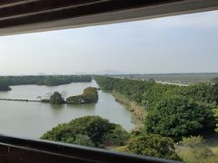 -大湾区中央湿地公园