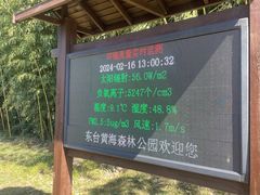 -黄海国家森林公园