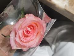-七欣天香辣蟹火锅(苏州相城VIP总店)