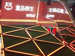-盒马鲜生(枣园路店)