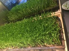 -夫妻肺片·中华老字号·正宗川菜(春熙路店)