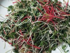 -八大碗私房菜(中城路店)