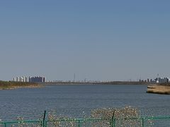 -天津东丽湖风景区