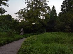 -重庆彩云湖湿地公园