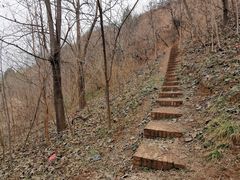 -渭南桃花源民俗文化园