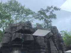 -梭布垭石林景区