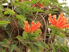 外景-娜娜度假小旅馆