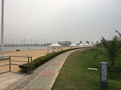 -碧海金沙