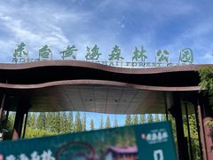 -黄海国家森林公园