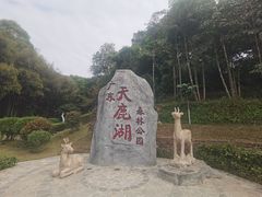 -天鹿湖森林公园