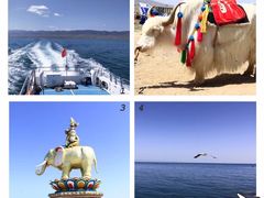 -青海湖国家重点风景名胜区