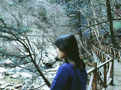 -青峰峡国家森林公园