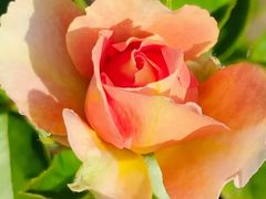 -小八仙·宴(三峡茶庄店)