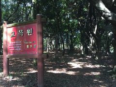 -汉拿树木园