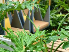 -PlantsEatery·植物食堂(REX春熙店)