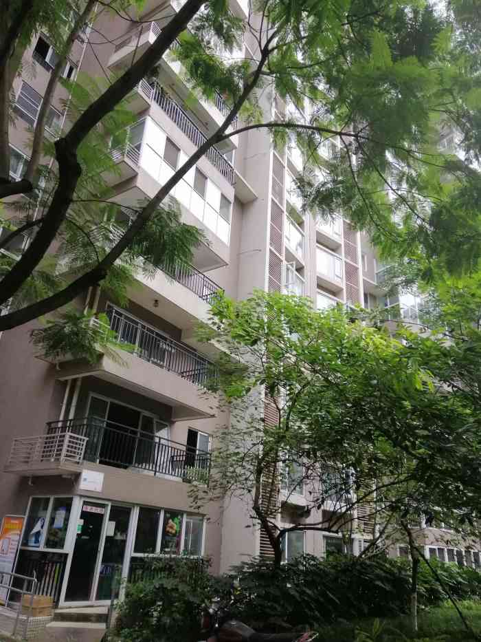 文星花园(川大路三段)-"小区附近有两个学校,一个是川大,另外一个.