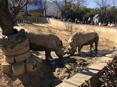 -西安秦岭野生动物园