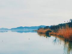 -东钱湖旅游度假区