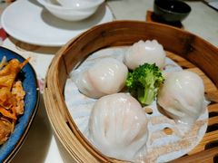 隆隆金虾饺皇-隆隆金大茶楼(明珠广场店)