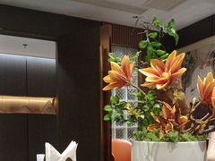 -大连湾旭日·家宴·海肠捞饭(马栏广场店)