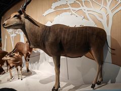 -陕西自然博物馆