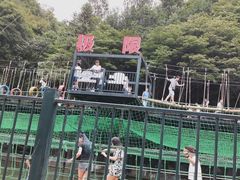 -梦幻奥陶纪景区