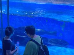 -上海海昌海洋公园-冰山北极馆