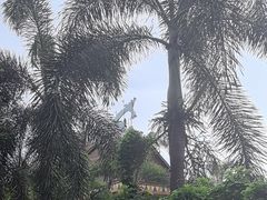 -灵玲国际马戏城