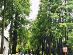 -李大嘴·湖北烧菜馆(汉阳总店)