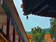 -宝通禅寺