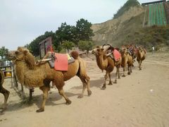 -古柏渡飞黄旅游区