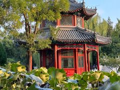 -莲池书院博物馆