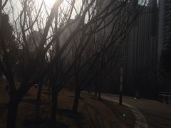 iphone_upload_pic-苏州河梦清园环保主题公园