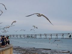 -星海广场
